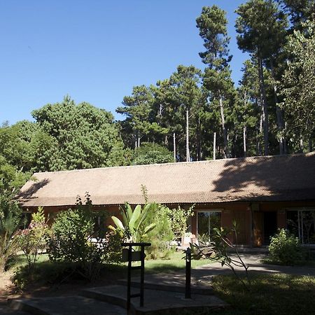 Hotel Lodge Au Bois Vert Antananarivo International Airport Ivato Екстериор снимка